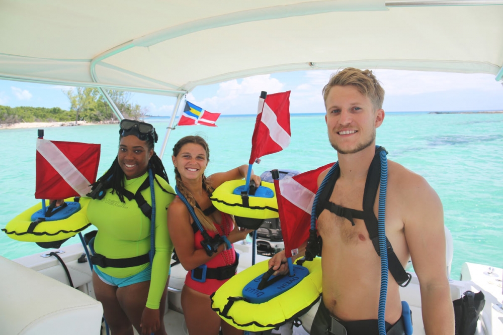 Nemo travel system store