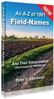 An A-Z of 1001 Field Names and Their Interpretation